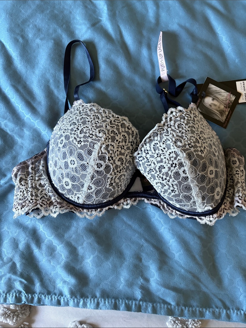 Daisy Fuentes Lace Push-Up Bra in Cream and Navy